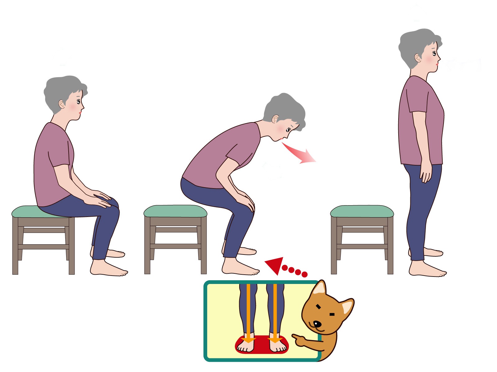 高齢者が椅子でエクササイズを行うメリット