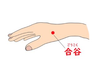 ツボ　合谷