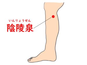 ツボ　陰陵泉