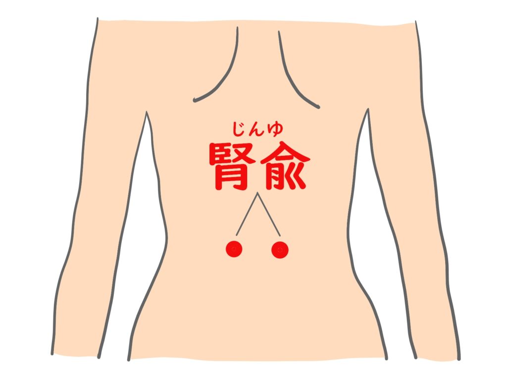ツボ 腎兪