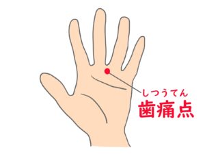 ツボ　歯痛点