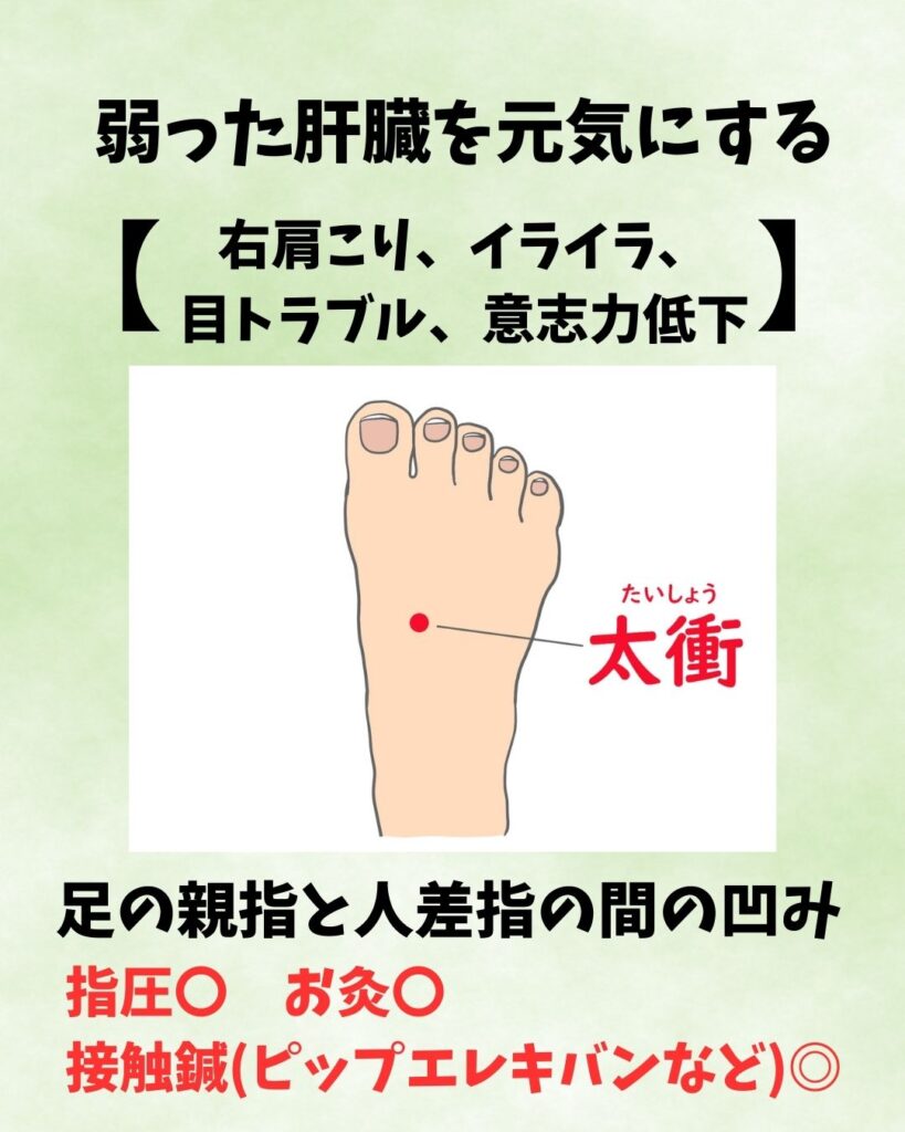 肝臓を元気にするツボ
