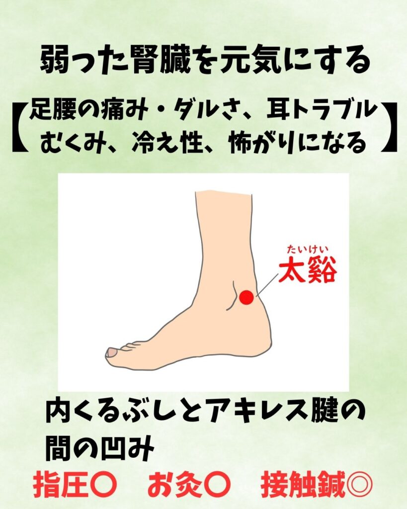 腎臓を元気にするツボ
